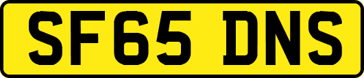 SF65DNS