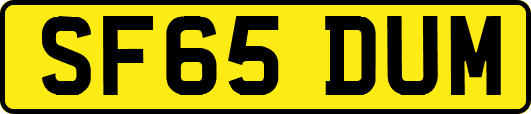 SF65DUM