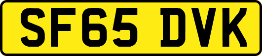 SF65DVK