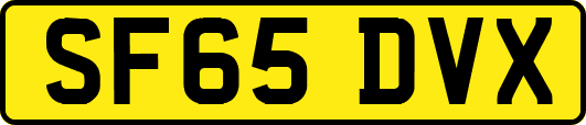 SF65DVX