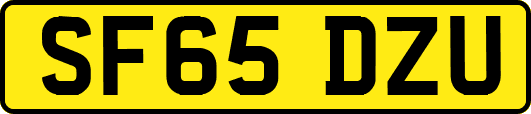 SF65DZU
