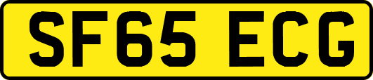 SF65ECG