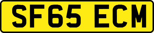 SF65ECM