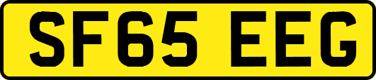 SF65EEG