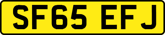 SF65EFJ