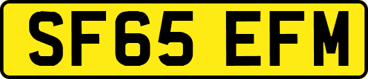 SF65EFM