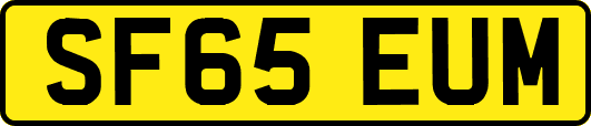 SF65EUM