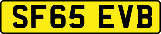 SF65EVB