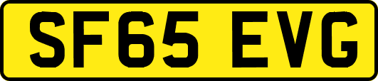 SF65EVG