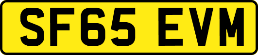 SF65EVM