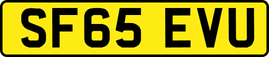 SF65EVU