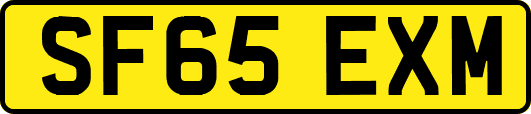 SF65EXM