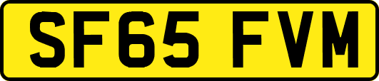 SF65FVM