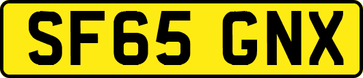 SF65GNX