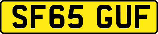 SF65GUF