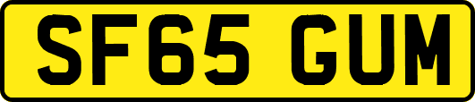 SF65GUM