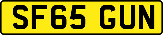 SF65GUN