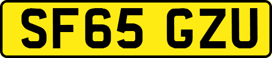 SF65GZU