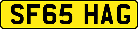 SF65HAG
