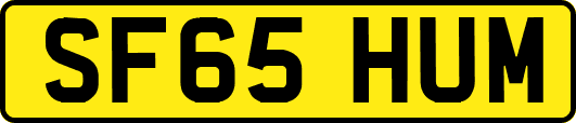 SF65HUM
