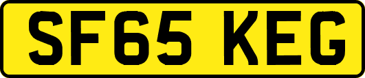 SF65KEG