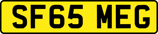 SF65MEG