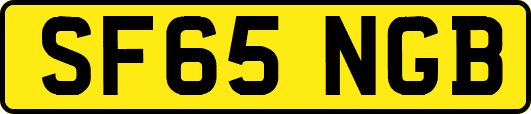 SF65NGB