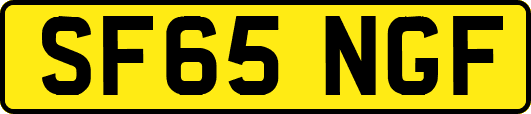 SF65NGF