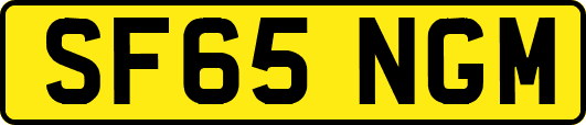 SF65NGM
