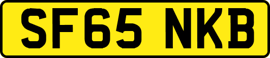 SF65NKB