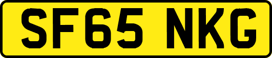 SF65NKG