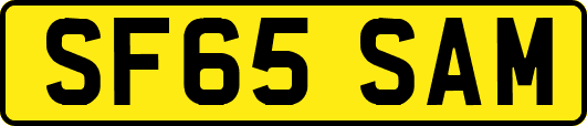 SF65SAM