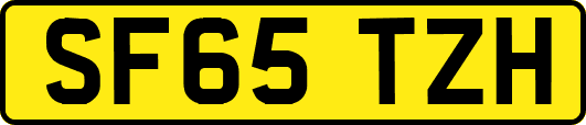 SF65TZH
