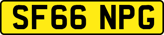 SF66NPG