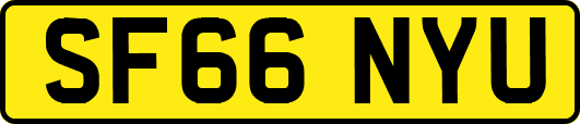 SF66NYU