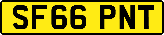 SF66PNT