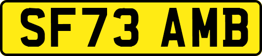 SF73AMB