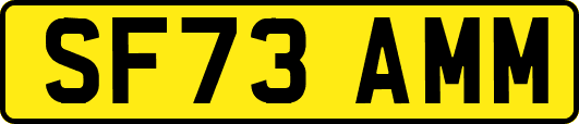SF73AMM