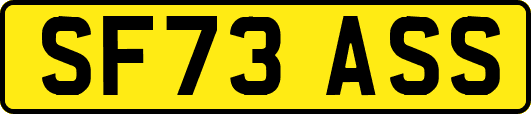 SF73ASS