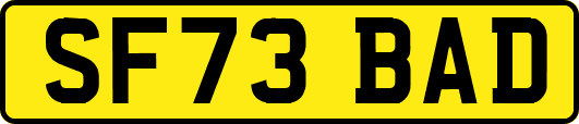 SF73BAD