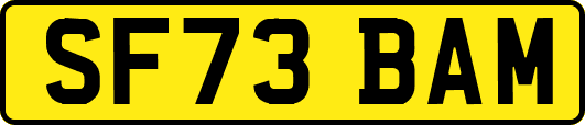 SF73BAM