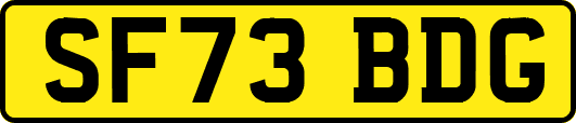 SF73BDG