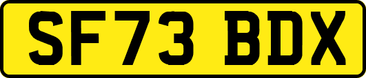 SF73BDX