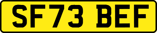 SF73BEF