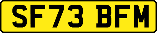 SF73BFM