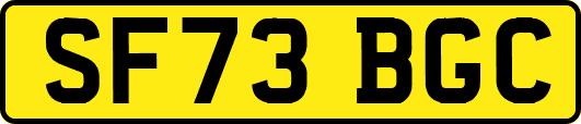 SF73BGC