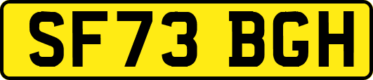 SF73BGH