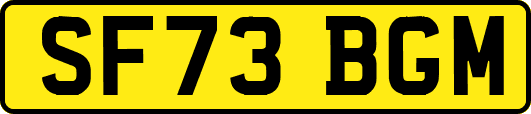 SF73BGM