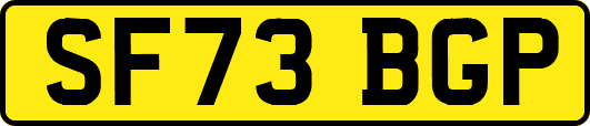 SF73BGP