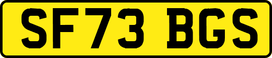 SF73BGS